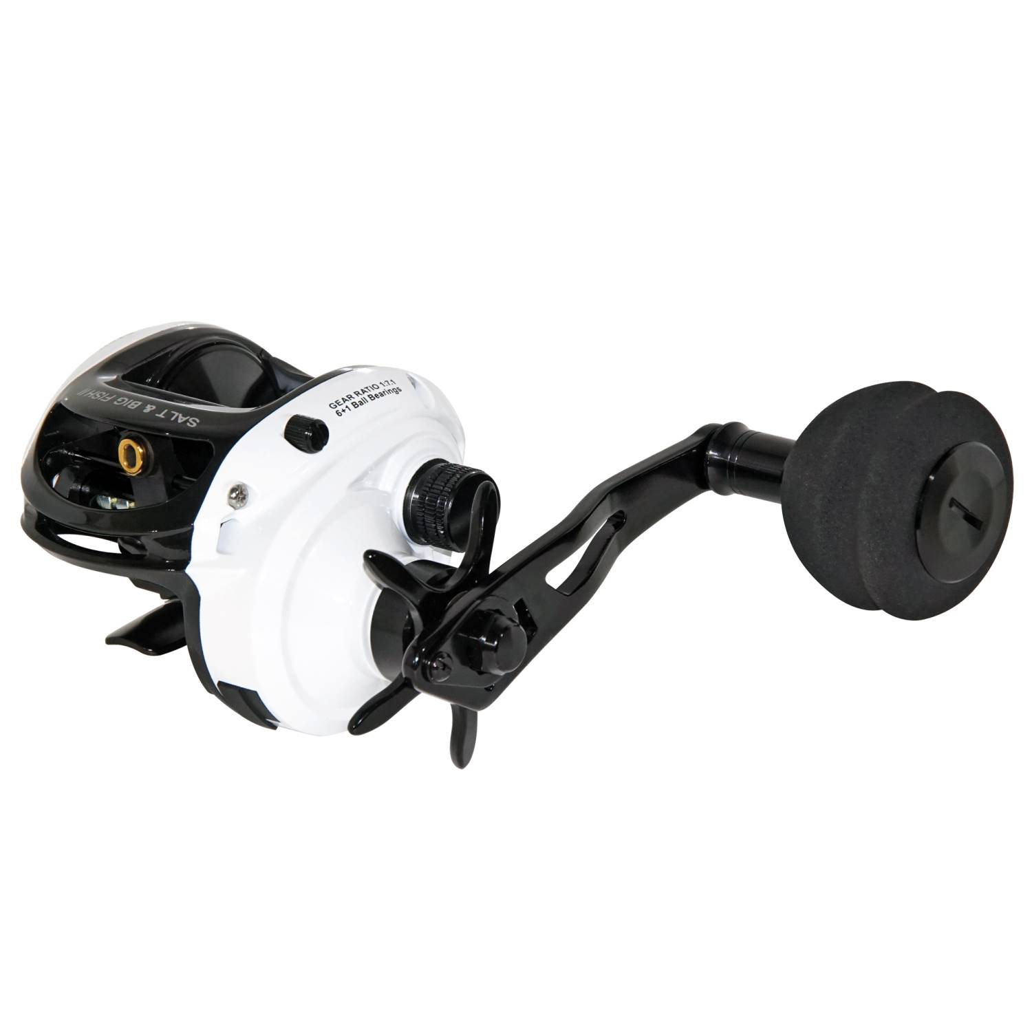 WFT Salt & Big Fish II – Multirolle 245m/ 0,30mm – 7,1:1 – 245g