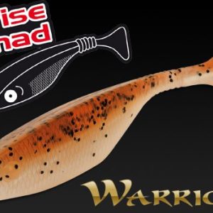 Fox Rage Warrior Wise Shad Gummifische 10cm