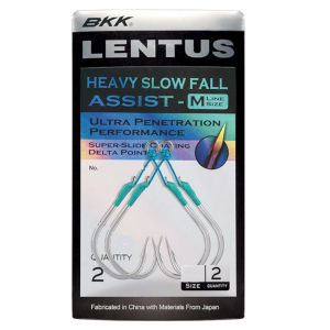 BKK SF LENTUS (M) – 2 Zusatzhaken