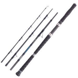 Balzer Adrenalin Travel Heavy 700 2,15m 200-700g – Reiserute