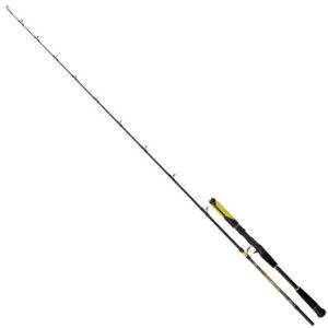 Black Cat Perfect Passion Allstar Cast 220cm 30-130g – Wallerrute