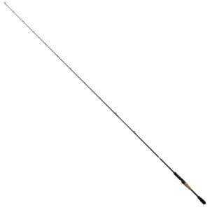 Bullseye LIQUËO C 198cm 5-21g – Baitcastrute