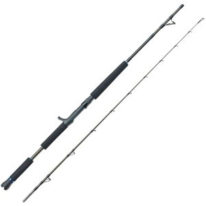 Eisele Bootsrute Thrill 2,1m 12-30lbs für Multirolle – Meeresrute