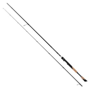 Fox Rage TR DS Master 245cm 6-25g – Spinnrute