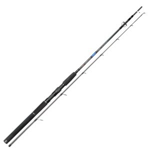 Gamakatsu Akilas Salt & Boat 80XXXXH 2.40m 60-120g – Spinnrute
