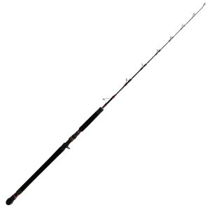 Hearty Rise 1,63m Monster Speed Jigging 420g – Baitcaster Meeresrute