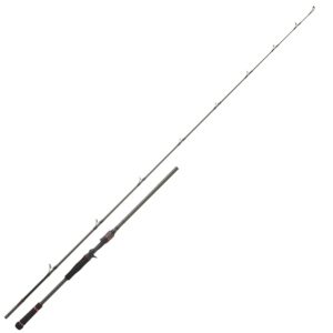 Hearty Rise Bassforce Special Cast 20-80g 2,13m – Baitcaster Rute