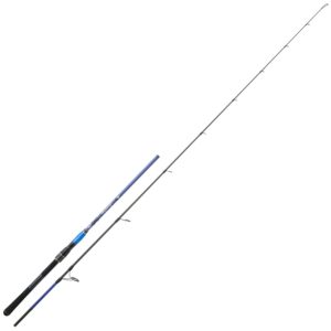 Hearty Rise Deep Blue 2,20m 20-80g Rute – Meeres Spinnrute