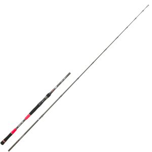 Hearty Rise Fire Master MOC 60-120g 2,44m – Baitcasterrute