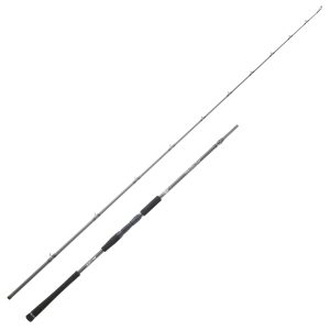Hearty Rise METER OVER CAST 2,60m 100-260g – Angelrute