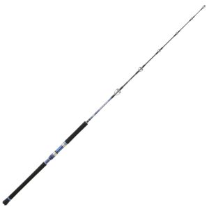 Hearty Rise Monster Game Jigging Rute 1,62m 100-300g – Jigrute