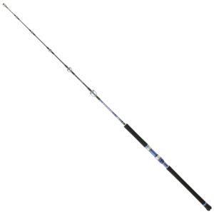 Hearty Rise Monster Game Jigging Rute 1,62m 70-150g – Meeresrute