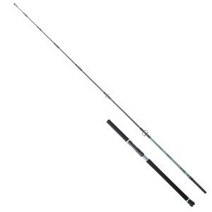 Hearty Rise Monster Game Tuna Hunter S 2,38m 80-180g – Meeresrute