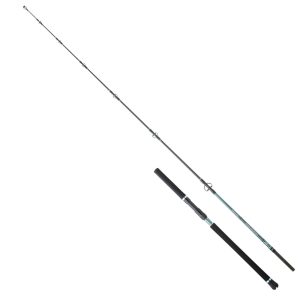 Hearty Rise Monster Game Tuna Hunter S 2,40m 60-160g – Angelrute