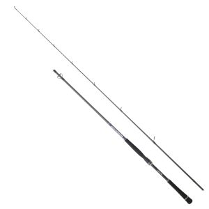 Hearty Rise Salt Monster SW Spin 2,20m 10-40g – Spinnrute