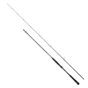 Hearty Rise Salt Monster SW 2,60m 10-60g – Spinnrute