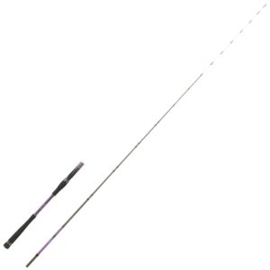 Hearty Rise Shiga Tenya Cast Rute 2,05m 30-60g – Baitcasterrute