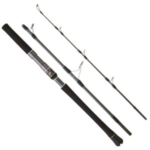 Hearty Rise Skywalker Jigging Spin Rute 1,63m 420g – Meeresrute