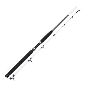 Kinetic Witcher Salt CC 180cm P10 30-50lbs 300-600g – Meeresrute