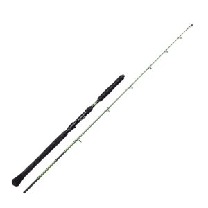 Madcat Green Close Combat 170cm 50-125g – Wallerrute