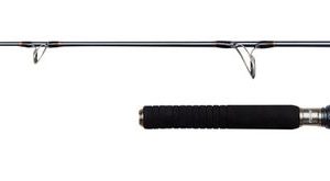 PENN Battalion Solid Offshore 2.23m 15-80g – Spinnrute