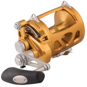Penn International 30VISW Gold – Big Game Multirolle