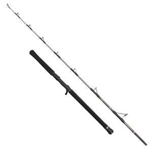 Penn Regiment IV Jig 6FT 20-30lb – Angelrute