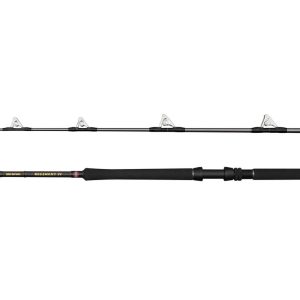 PENN Regiment IV Roller Boat Rod 2.00m 30-50lb – Bootsrute