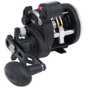 Penn Rival Level Wind 15 Linecounter Reel – Rechtshand Multirolle