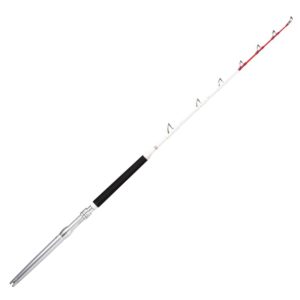 Rapala Magnum Rh 5'5 2P 165cm 50-80lbs – Bootsrute