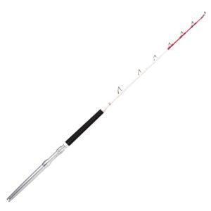 Rapala Magnum Rh 5'8 2P 173cm 20-30lbs – Bootsrute