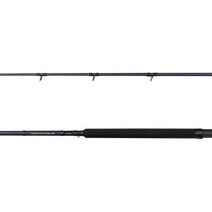 Savage Gear Defiance Sg2 Shore Jig 2.90m 15-60g – Angelrute