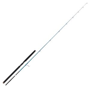 Savage Gear SGS2 Offshore Plug 2,50m 30-80g MH – Jigrute