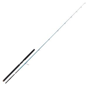 Savage Gear SGS2 Offshore Plug 2,50m 50-120g H – Angelrute