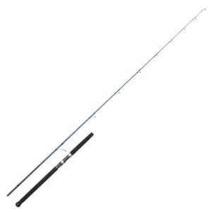 Savage Gear SGS6 Offshore Plug 2,49m 20-70g MH – Meeresrute
