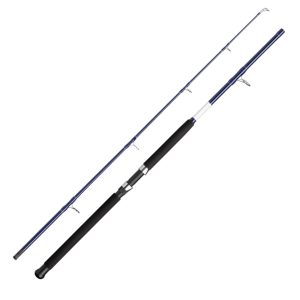 Shakespeare Salt Boat 180cm 30-50lb – Bootsrute