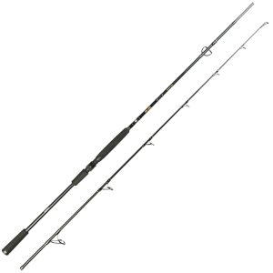 Spro Big Lure Spin 2,20m 40-120g – Spinnrute