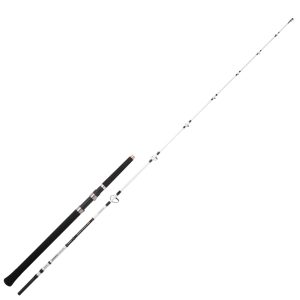 Spro Rute Sb Nano Mega Jig Spin 210cm 450g – Meeresrute