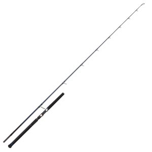 Westin W2 Offshore Powercast 249cm XH 80-200g – Meeresrute