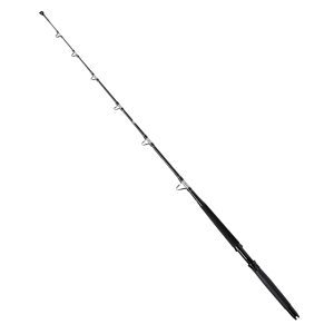 Williamson Sodwana 173cm 20-30lbs – Meeresrute